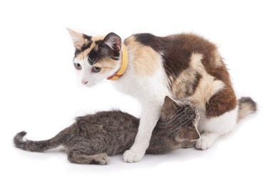 Similar image 5540219