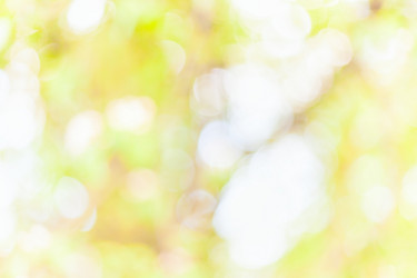 Similar image 5540516