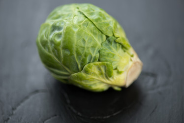 Similar image 5540538