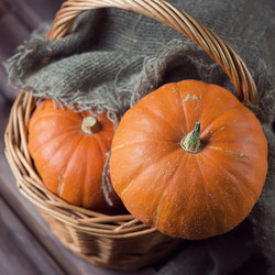 Similar image 5540543