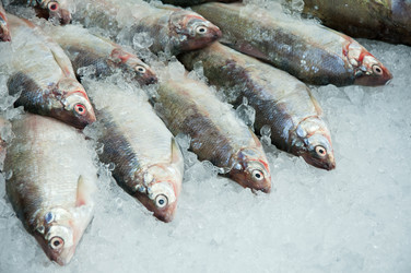 Similar image 5540580