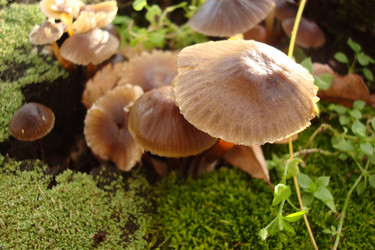 Similar image 5540595