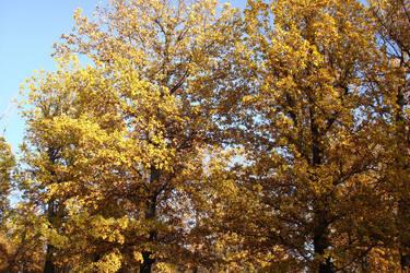 Similar image 5540613