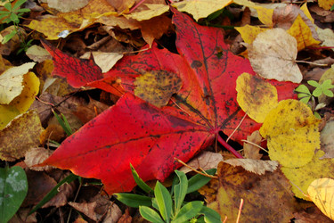 Similar image 5540650