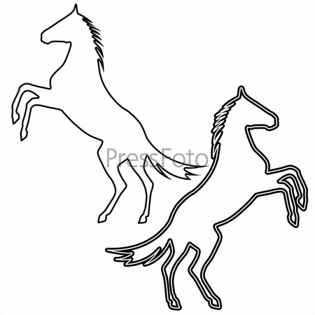 Лошадь рисунок карандашом на дыбах - 61 фото