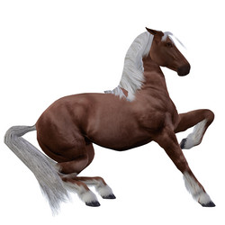 Similar image 5540895