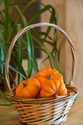 Similar image 5540966