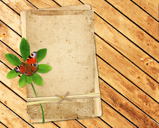 Similar image 5541053