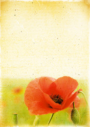 Similar image 5541068