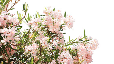 Similar image 5541084