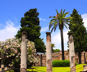 Similar image 5541085