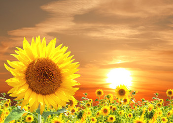 Similar image 5541094