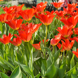 Similar image 5541117