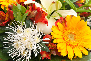 Similar image 5541118