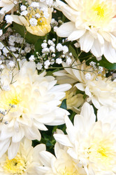 Similar image 5541119