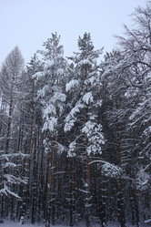 Similar image 5541121