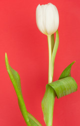 Similar image 5541138