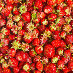 Similar image 5541139