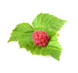 Similar image 5541145