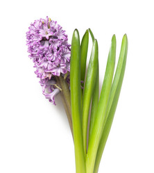 Similar image 5541152