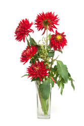 Similar image 5541159