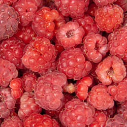 Similar image 5541160