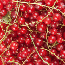 Similar image 5541165