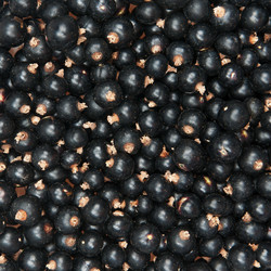 Similar image 5541166