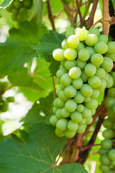 Similar image 5541169