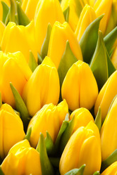 Similar image 5541174