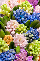 Similar image 5541177