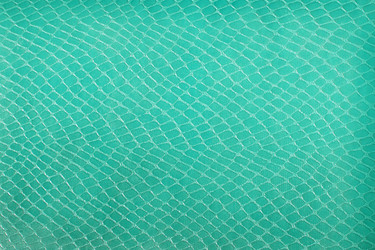 Similar image 5541182