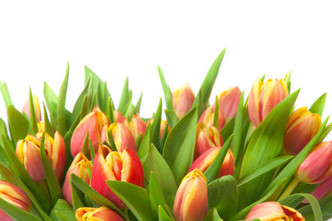 Similar image 5541185