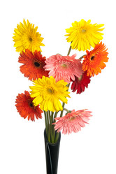 Similar image 5541186