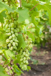 Similar image 5541193