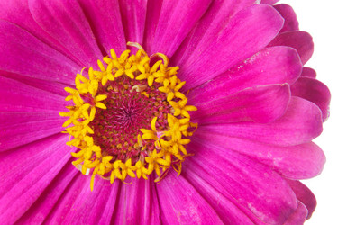 Similar image 5541195