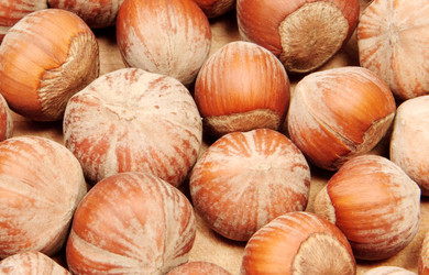 Similar image 5541196