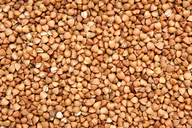 Similar image 5541197