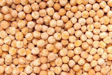 Similar image 5541198