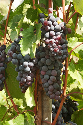 Similar image 5541199