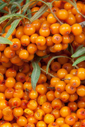 Similar image 5541213