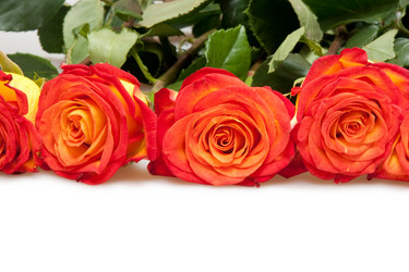 Similar image 5541214