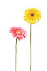 Similar image 5541218