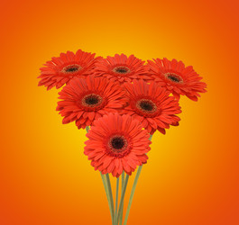 Similar image 5541219