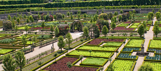 Similar image 5541226