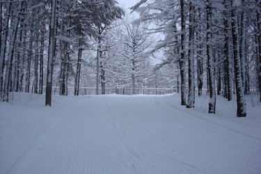 Similar image 5541240