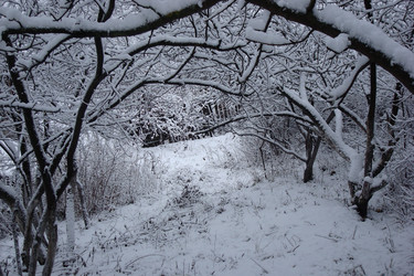 Similar image 5541241