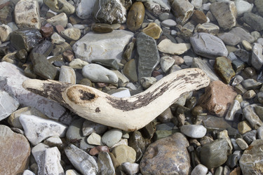 Similar image 5541262