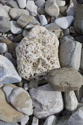 Similar image 5541274