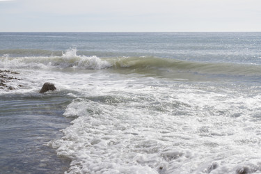 Similar image 5541277